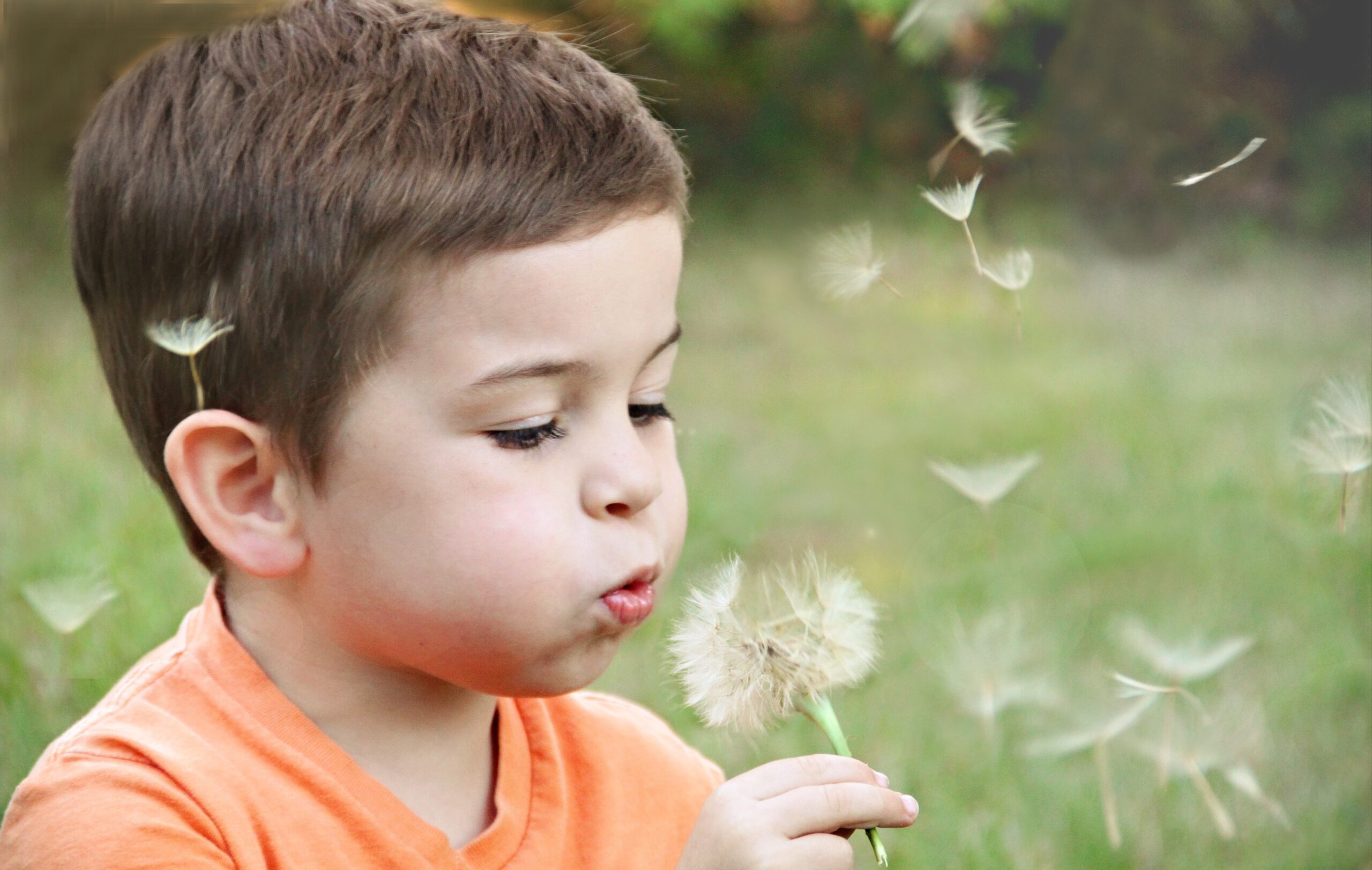 symbols of innocence and childhood
