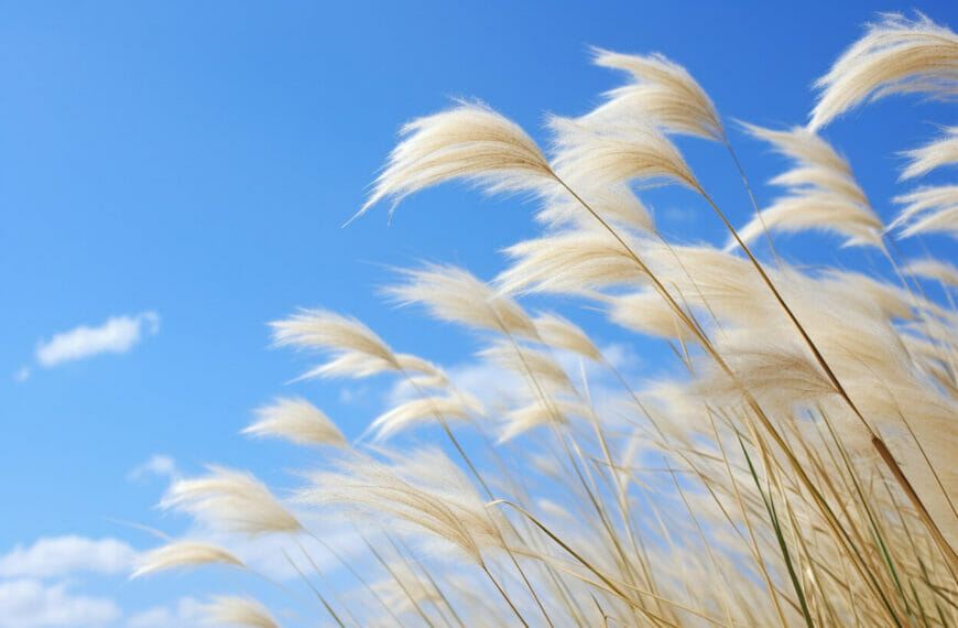 wind symbolism and meaning
