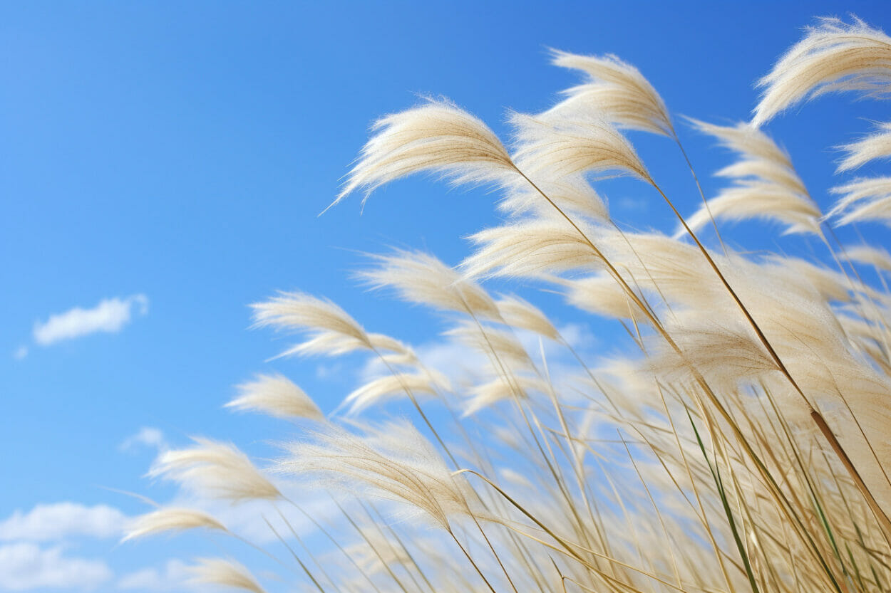 wind symbolism and meaning